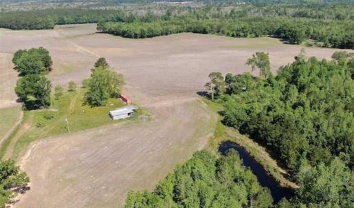 Photo of SOLD!!  254 Acres of Timber and Farm Land For Sale in Columbus County NC!