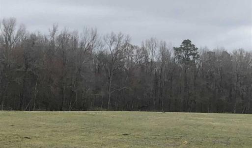 Photo of SOLD!!  254 Acres of Timber and Farm Land For Sale in Columbus County NC!