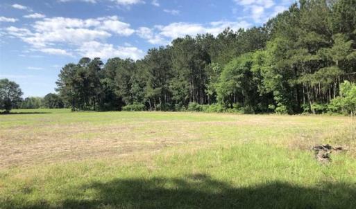 Photo of SOLD!!  254 Acres of Timber and Farm Land For Sale in Columbus County NC!