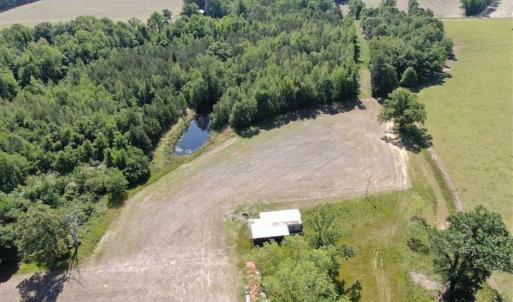 Photo of SOLD!!  254 Acres of Timber and Farm Land For Sale in Columbus County NC!