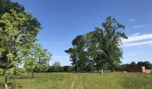 Photo of SOLD!!  254 Acres of Timber and Farm Land For Sale in Columbus County NC!