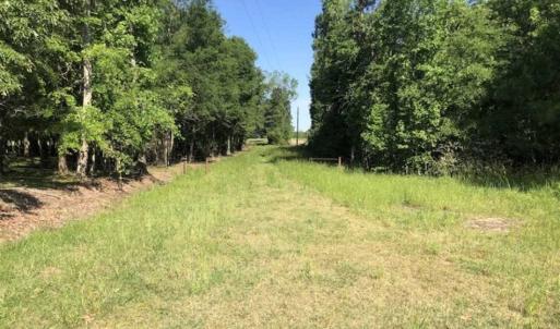 Photo of SOLD!!  254 Acres of Timber and Farm Land For Sale in Columbus County NC!
