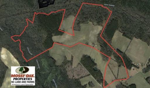 Photo of SOLD!!  254 Acres of Timber and Farm Land For Sale in Columbus County NC!