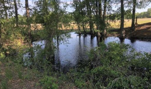 Photo of SOLD!!  254 Acres of Timber and Farm Land For Sale in Columbus County NC!