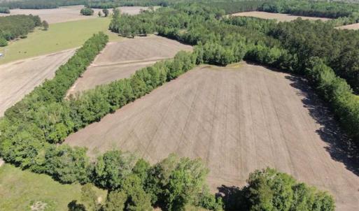 Photo of SOLD!!  254 Acres of Timber and Farm Land For Sale in Columbus County NC!