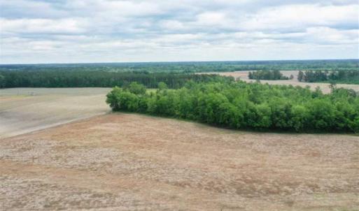Photo of 29.15 Acres of Farm and Hunting Land for Sale in Columbus County NC!