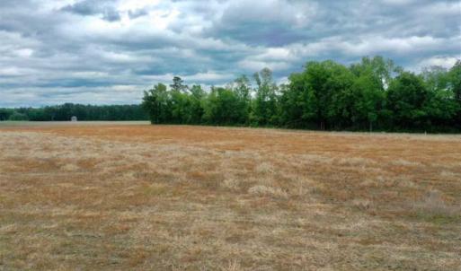 Photo of 29.15 Acres of Farm and Hunting Land for Sale in Columbus County NC!