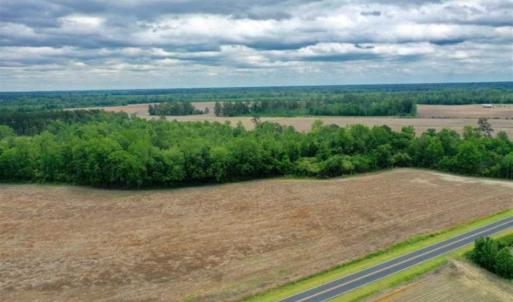 Photo of 29.15 Acres of Farm and Hunting Land for Sale in Columbus County NC!