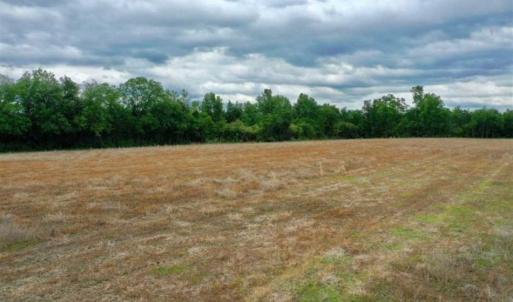 Photo of 29.15 Acres of Farm and Hunting Land for Sale in Columbus County NC!