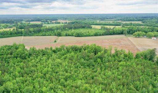 Photo of 29.15 Acres of Farm and Hunting Land for Sale in Columbus County NC!