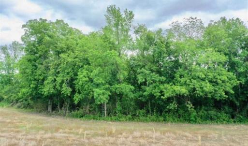 Photo of 29.15 Acres of Farm and Hunting Land for Sale in Columbus County NC!