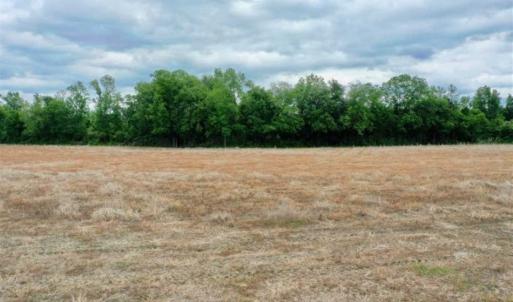 Photo of 29.15 Acres of Farm and Hunting Land for Sale in Columbus County NC!