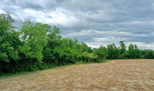 Photo of 29.15 Acres of Farm and Hunting Land for Sale in Columbus County NC!