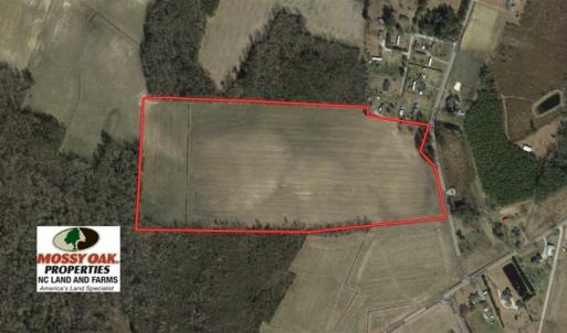 Photo of UNDER CONTRACT!!  50 Acres of Farm Land for Sale in Columbus County NC!