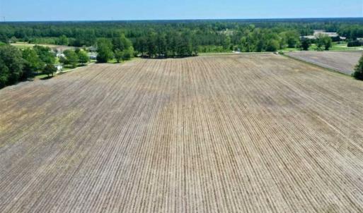 Photo of UNDER CONTRACT!!  50 Acres of Farm Land for Sale in Columbus County NC!
