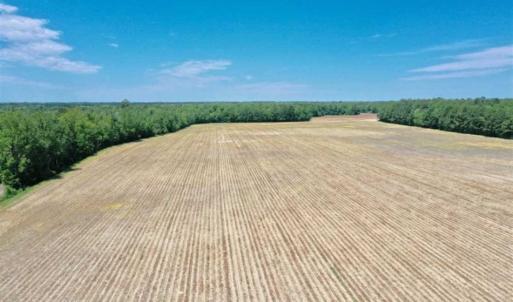 Photo of UNDER CONTRACT!!  50 Acres of Farm Land for Sale in Columbus County NC!