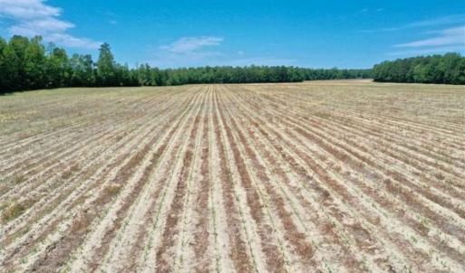 Photo of UNDER CONTRACT!!  50 Acres of Farm Land for Sale in Columbus County NC!