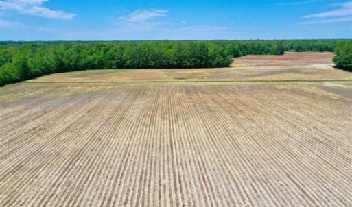 Photo of UNDER CONTRACT!!  50 Acres of Farm Land for Sale in Columbus County NC!