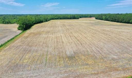 Photo of UNDER CONTRACT!!  50 Acres of Farm Land for Sale in Columbus County NC!