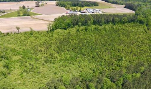 Photo of SOLD!!  22.28 Acres of Hunting and Investment For Sale in Wilson County NC!