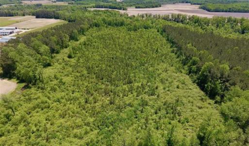 Photo of SOLD!!  22.28 Acres of Hunting and Investment For Sale in Wilson County NC!