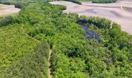 Photo of SOLD!!  22.28 Acres of Hunting and Investment For Sale in Wilson County NC!