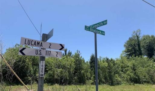 Photo of SOLD!!  22.28 Acres of Hunting and Investment For Sale in Wilson County NC!