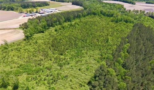 Photo of SOLD!!  22.28 Acres of Hunting and Investment For Sale in Wilson County NC!