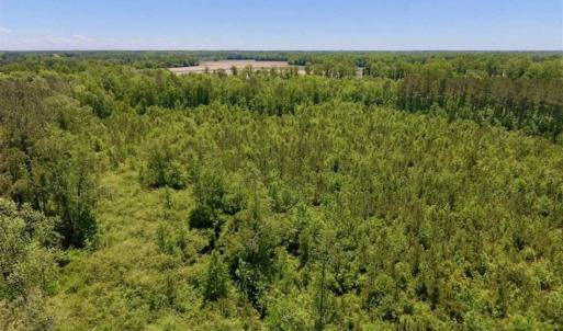 Photo of SOLD!!  22.28 Acres of Hunting and Investment For Sale in Wilson County NC!