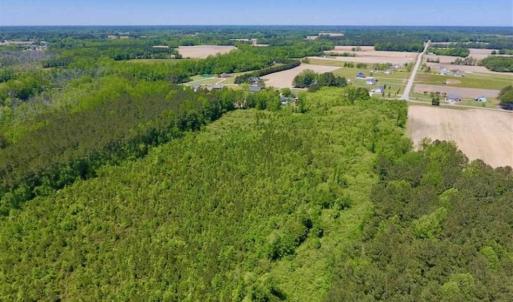 Photo of SOLD!!  22.28 Acres of Hunting and Investment For Sale in Wilson County NC!