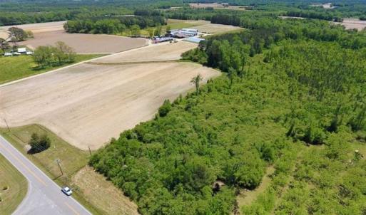 Photo of SOLD!!  22.28 Acres of Hunting and Investment For Sale in Wilson County NC!