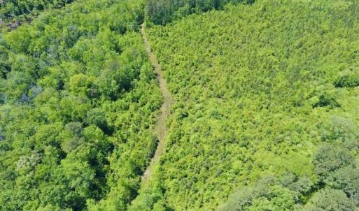 Photo of SOLD!!  22.28 Acres of Hunting and Investment For Sale in Wilson County NC!