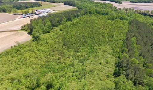 Photo of SOLD!!  22.28 Acres of Hunting and Investment For Sale in Wilson County NC!