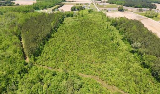 Photo of SOLD!!  22.28 Acres of Hunting and Investment For Sale in Wilson County NC!