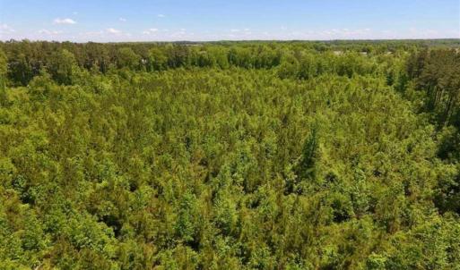 Photo of SOLD!!  22.28 Acres of Hunting and Investment For Sale in Wilson County NC!