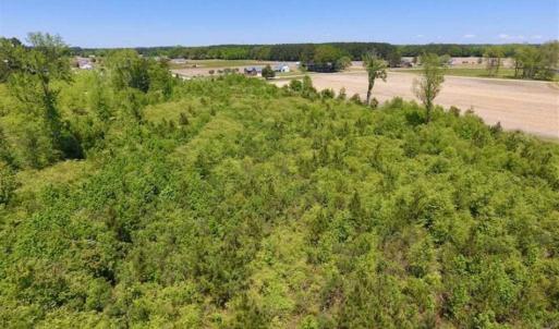 Photo of SOLD!!  22.28 Acres of Hunting and Investment For Sale in Wilson County NC!