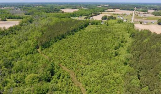 Photo of SOLD!!  22.28 Acres of Hunting and Investment For Sale in Wilson County NC!