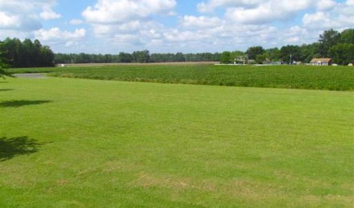 Photo of SOLD!!  9.5 Acres of Land with Custom Home For Sale in Suffolk VA!