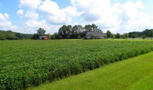 Photo of SOLD!!  9.5 Acres of Land with Custom Home For Sale in Suffolk VA!