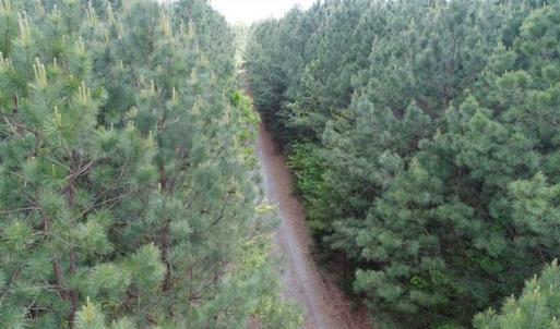 Photo of UNDER CONTRACT!!  17.95 Acres of Residential Land for Sale in Caroline Co VA
