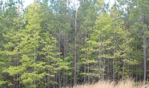Photo of UNDER CONTRACT!!  17.95 Acres of Residential Land for Sale in Caroline Co VA