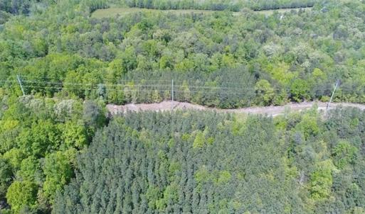 Photo of UNDER CONTRACT!!  17.95 Acres of Residential Land for Sale in Caroline Co VA