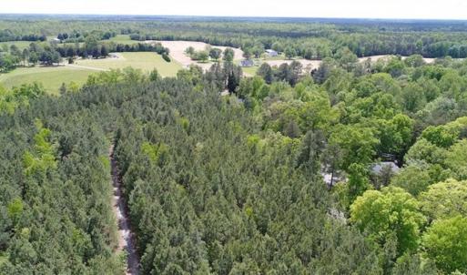 Photo of UNDER CONTRACT!!  17.95 Acres of Residential Land for Sale in Caroline Co VA