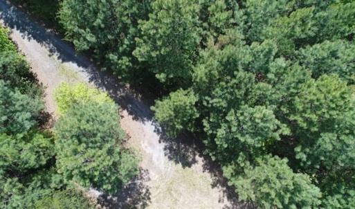 Photo of UNDER CONTRACT!!  17.95 Acres of Residential Land for Sale in Caroline Co VA