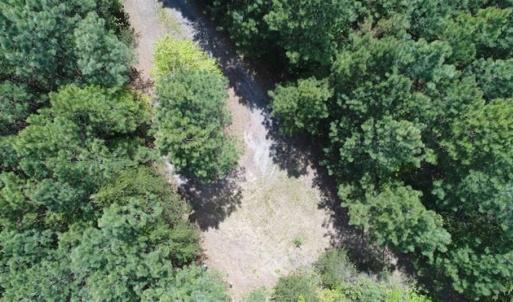 Photo of UNDER CONTRACT!!  17.95 Acres of Residential Land for Sale in Caroline Co VA