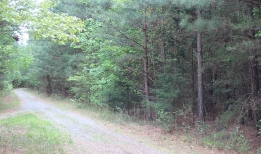 Photo of UNDER CONTRACT!!  17.95 Acres of Residential Land for Sale in Caroline Co VA
