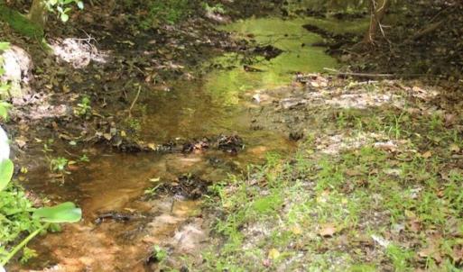Photo of UNDER CONTRACT!!  17.95 Acres of Residential Land for Sale in Caroline Co VA
