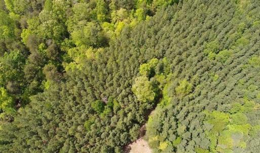 Photo of UNDER CONTRACT!!  17.95 Acres of Residential Land for Sale in Caroline Co VA