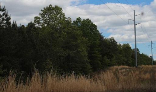Photo of UNDER CONTRACT!!  17.95 Acres of Residential Land for Sale in Caroline Co VA