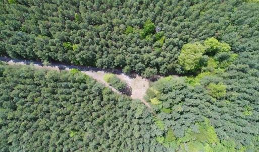 Photo of UNDER CONTRACT!!  17.95 Acres of Residential Land for Sale in Caroline Co VA